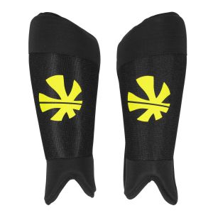Winston Shinguard